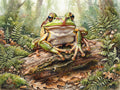 Wandbild Frosch Aquarell Baumstamm Pilze Farne Herbstwald Kunstdruck auf Leinwand