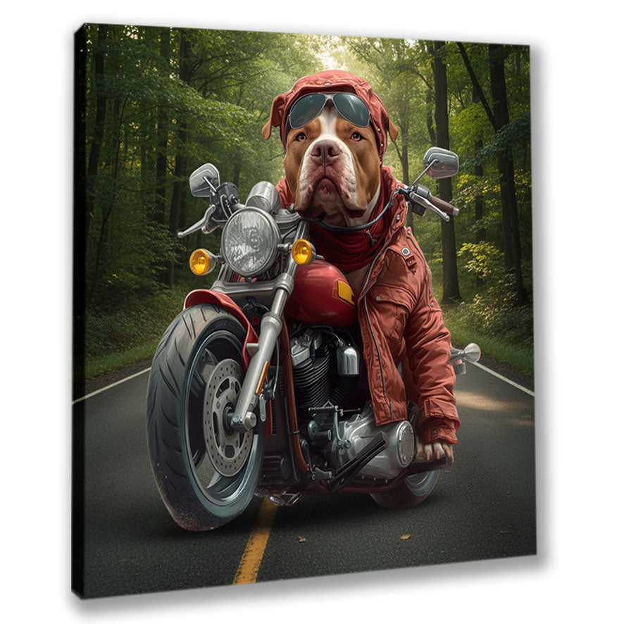 Wandbild Hunde auf Motorrad 1 Kunstdruck auf Leinwand