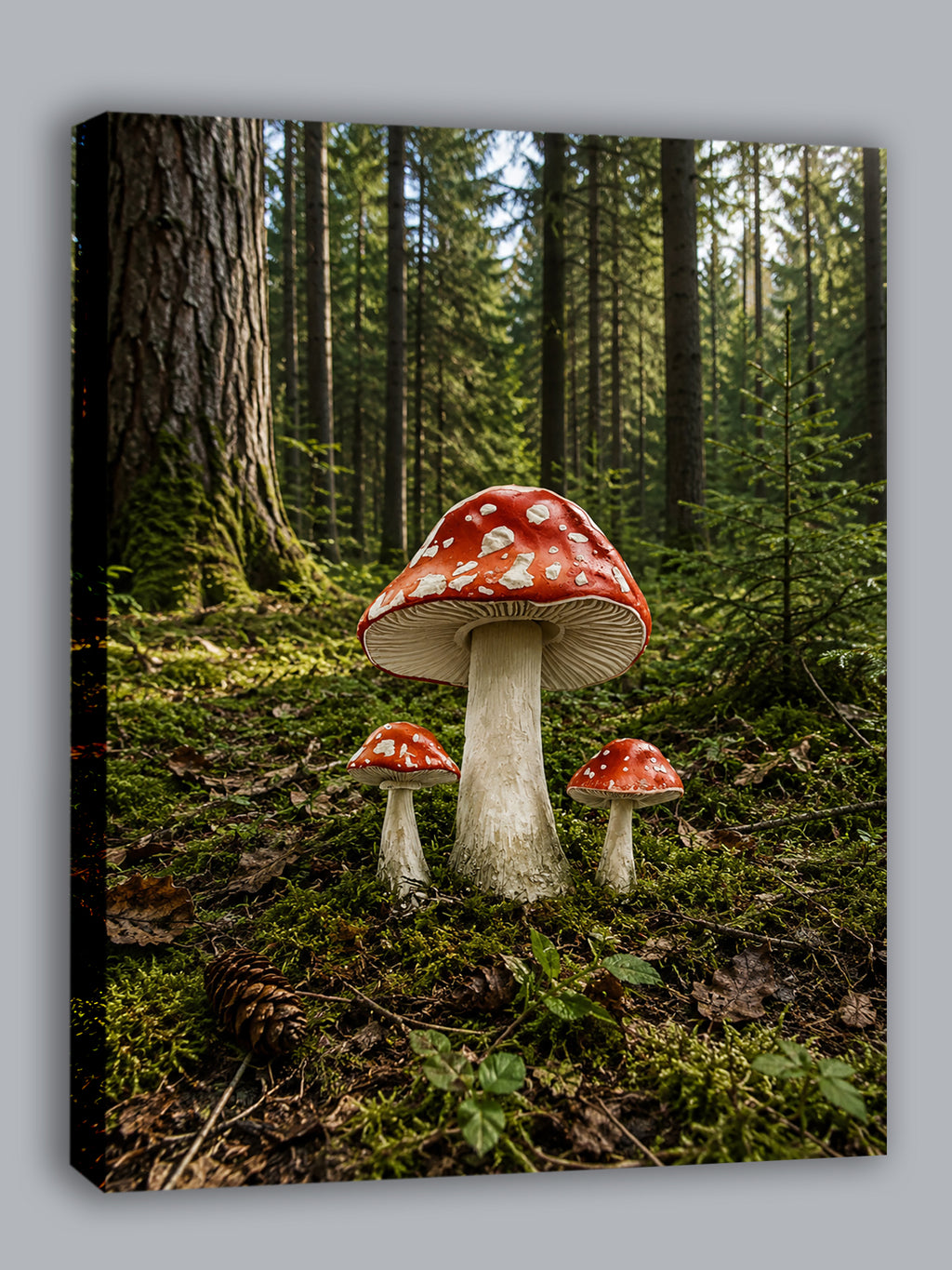 Wandbild Waldpilz Drei Fliegenpilze Moosiger Waldboden Nadelwald Kunstdruck auf Leinwand