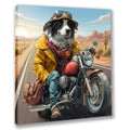 Wandbild Hunde auf Motorrad 3 Kunstdruck auf Leinwand