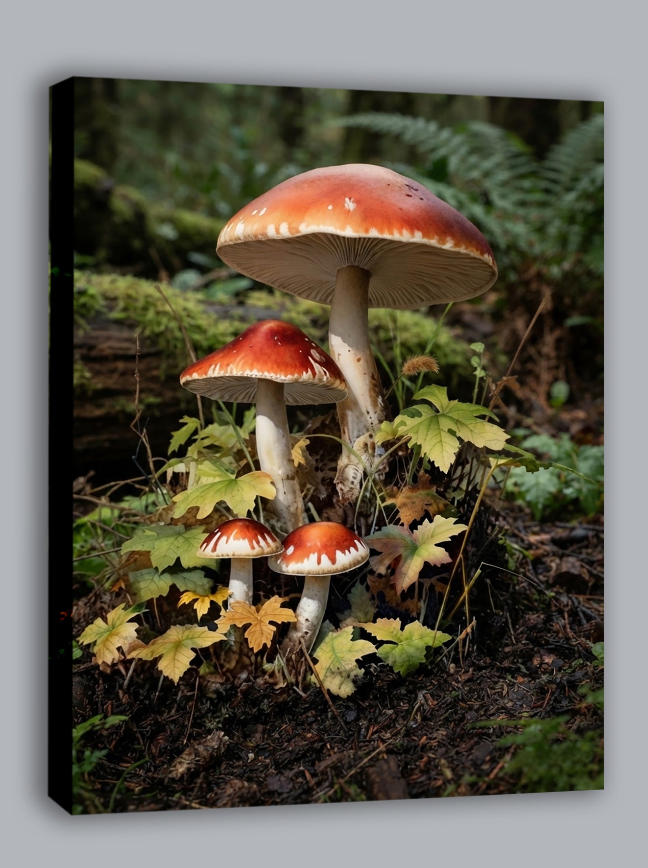 Wandbild Waldpilz Vier Pilze Herbstlaub Farne Waldboden Kunstdruck auf Leinwand
