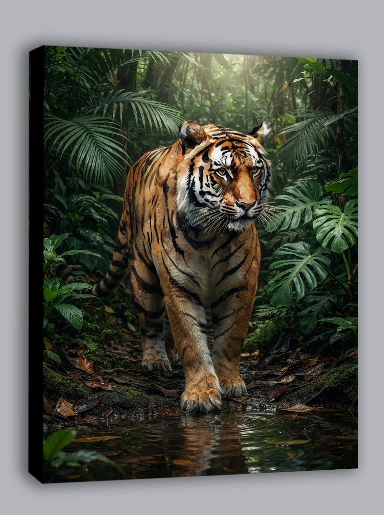 Wandbild Tiger Regenwald Frontal Wasserpfütze Dschungel Kunstdruck auf Leinwand