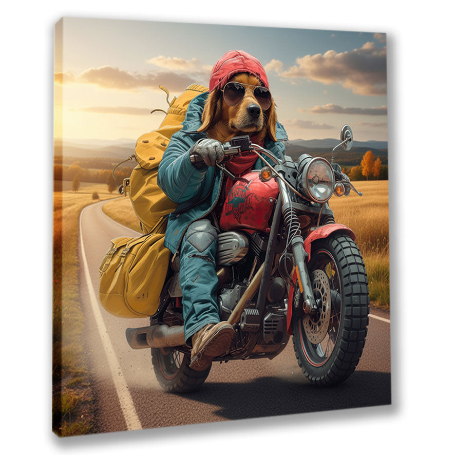 Wandbild Hunde auf Motorrad 5 Kunstdruck auf Leinwand