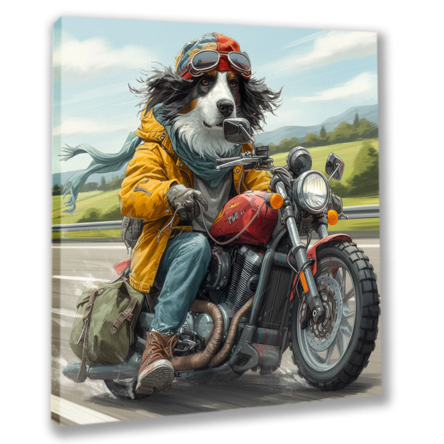 Wandbild Hunde auf Motorrad 6 Kunstdruck auf Leinwand