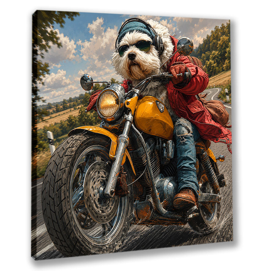 Wandbild Hunde auf Motorrad 8 Kunstdruck auf Leinwand