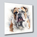 Bulldogge englisch Wandbild Kunstdruck auf Leinwand | Wandbild Galerie