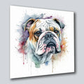 Bulldogge englisch 8 Wandbild Kunstdruck auf Leinwand | Wandbild Galerie