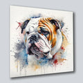Bulldogge englisch 6 Wandbild Kunstdruck auf Leinwand | Wandbild Galerie