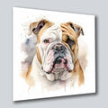 Bulldogge englisch 3 Wandbild Kunstdruck auf Leinwand | Wandbild Galerie