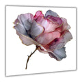Seidenrose 2 Wandbild Kunstdruck auf Leinwand | Wandbild Galerie