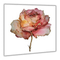 Seidenrose 6 Wandbild Kunstdruck auf Leinwand | Wandbild Galerie