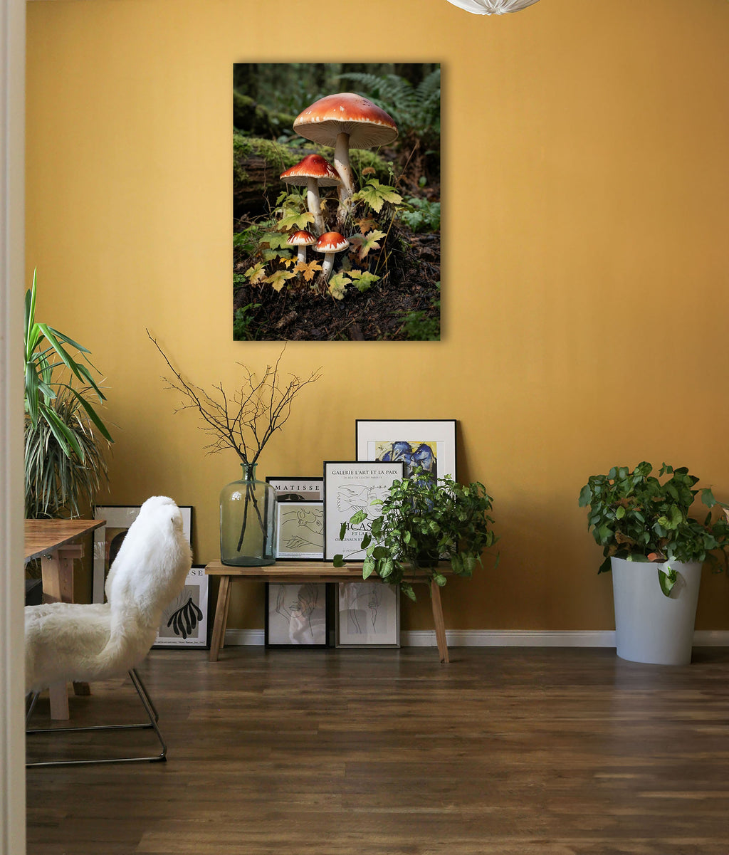Wandbild Waldpilz Vier Pilze Herbstlaub Farne Waldboden Kunstdruck auf Leinwand