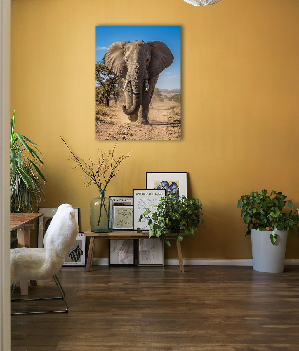 Zimmer14Quer_76f6dd12-2e19-4dcd-b8dc-3646fb01b815 - Wandbild Galerie