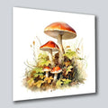 Waldpilze 10 Wandbild Kunstdruck auf Leinwand | Wandbild Galerie