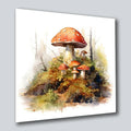 Waldpilze 8 Wandbild Kunstdruck auf Leinwand | Wandbild Galerie