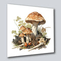 Waldpilze 3 Wandbild Kunstdruck auf Leinwand | Wandbild Galerie