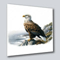 Weisskopfadler 4 Wandbild Kunstdruck auf Leinwand | Wandbild Galerie
