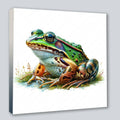 Wandbild Frosch Unke 16 Kunstdruck auf Leinwand direkt zum Aufhängen | Wandbild Galerie