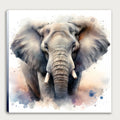 Elefant 4 Wandbild Kunstdruck auf Leinwand | Wandbild Galerie