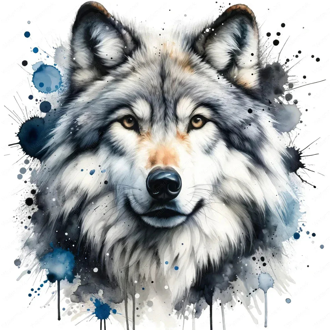 Wandbild Polarwolf Kunstdruck auf Leinwand direkt zum Aufhängen | Wandbild Galerie