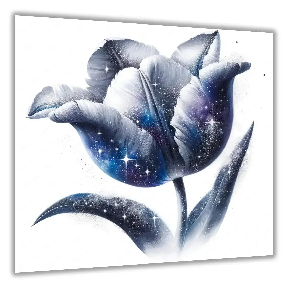 Tulpen 4 Wandbild Kunstdruck auf Leinwand | Wandbild Galerie