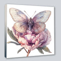 Wandbild Schmetterling 4 Kunstdruck auf Leinwand direkt zum Aufhängen | Wandbild Galerie