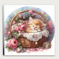 Katzenbaby im Korb 6 Wandbild Kunstdruck auf Leinwand | Wandbild Galerie