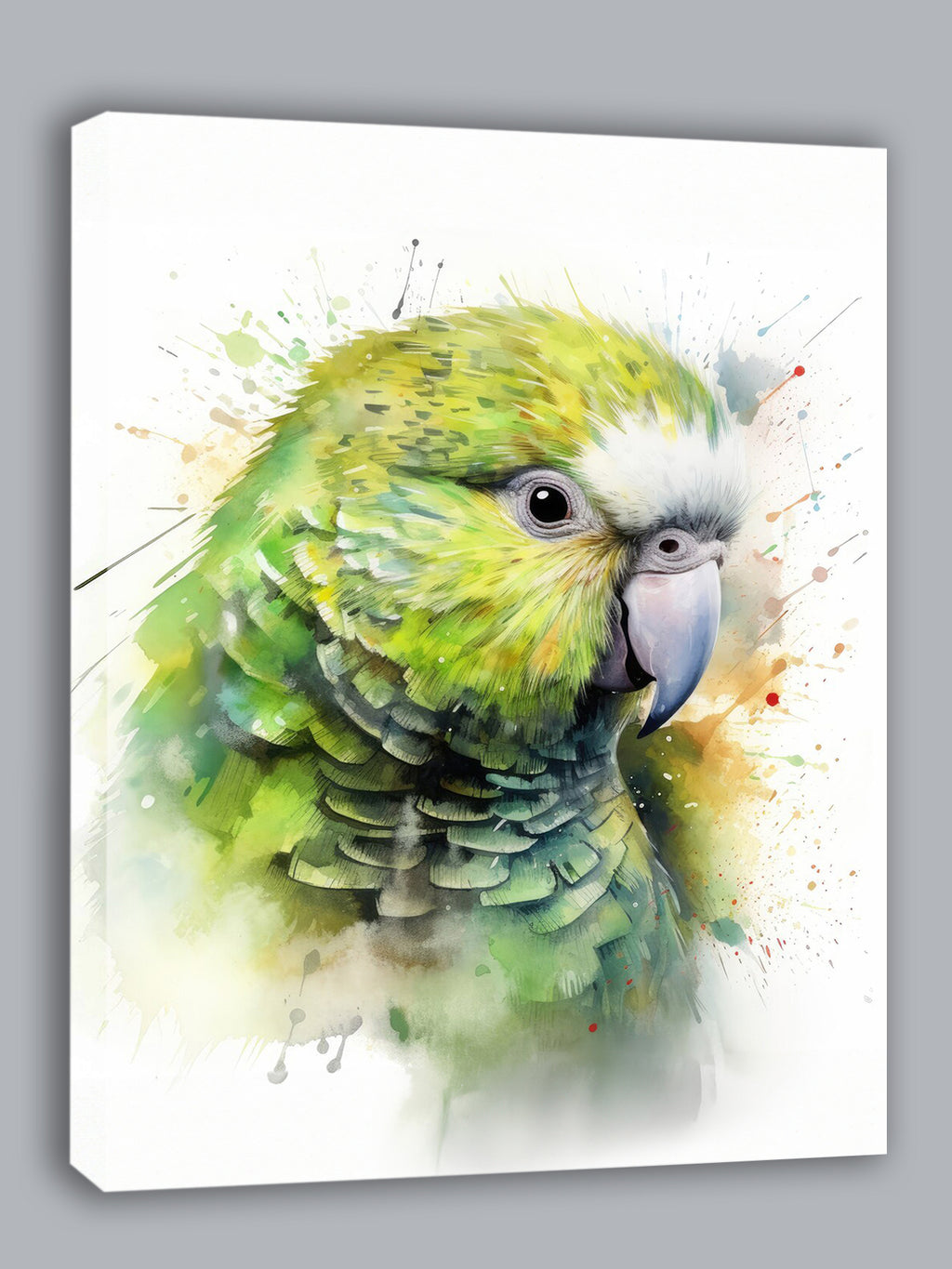 Wandbild Papagei Kakapo 10 Kunstdruck auf Leinwand direkt zum Aufhängen
