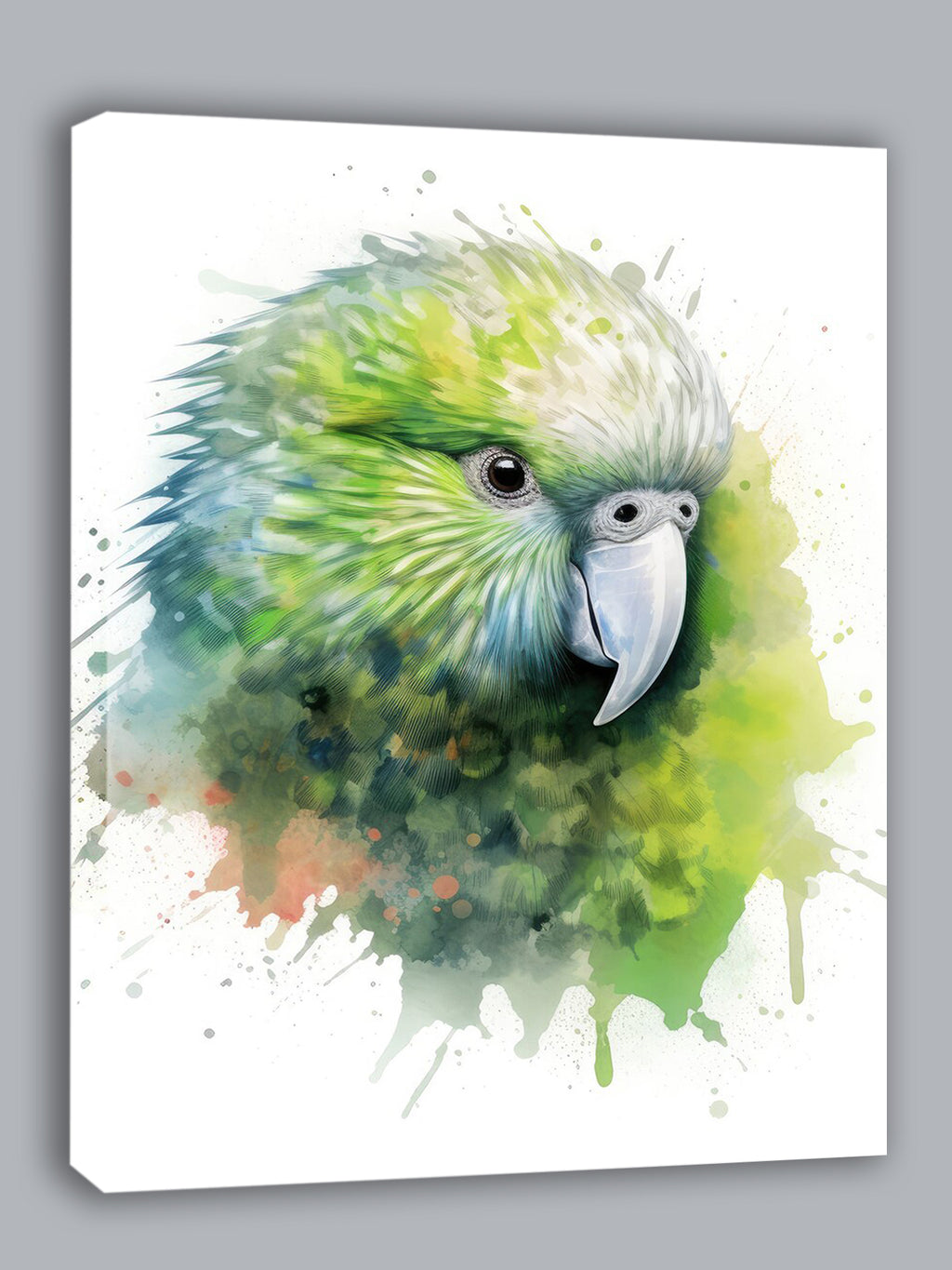 Wandbild Papagei Kakapo 1 Kunstdruck auf Leinwand direkt zum Aufhängen