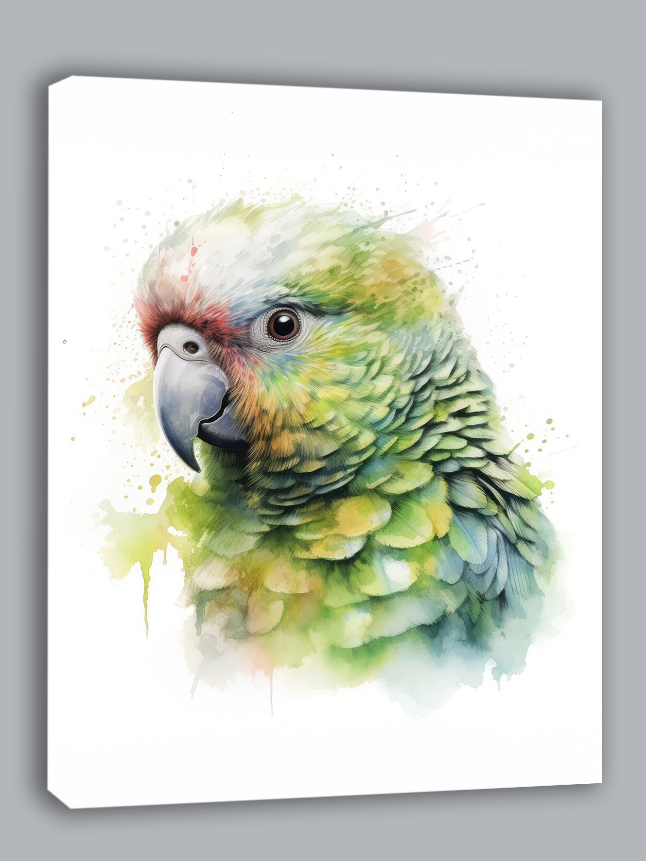 Wandbild Papagei Kakapo 3 Kunstdruck auf Leinwand direkt zum Aufhängen