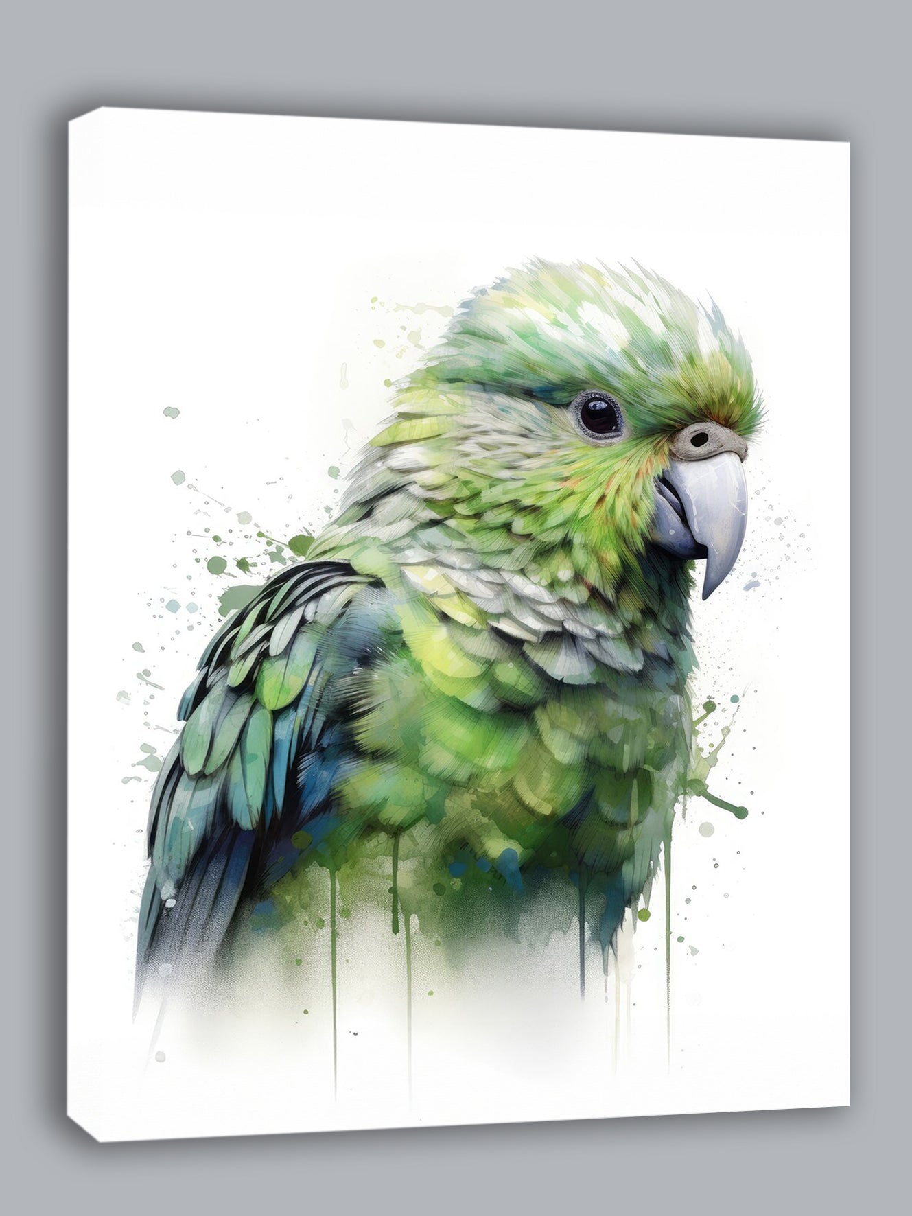Wandbild Papagei Kakapo 4 Kunstdruck auf Leinwand direkt zum Aufhängen