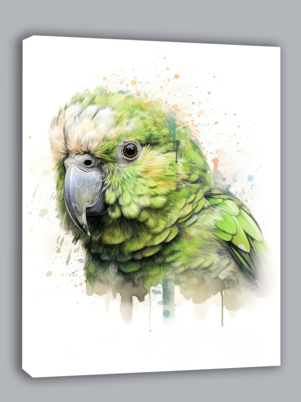 Wandbild Papagei Kakapo 5 Kunstdruck auf Leinwand direkt zum Aufhängen
