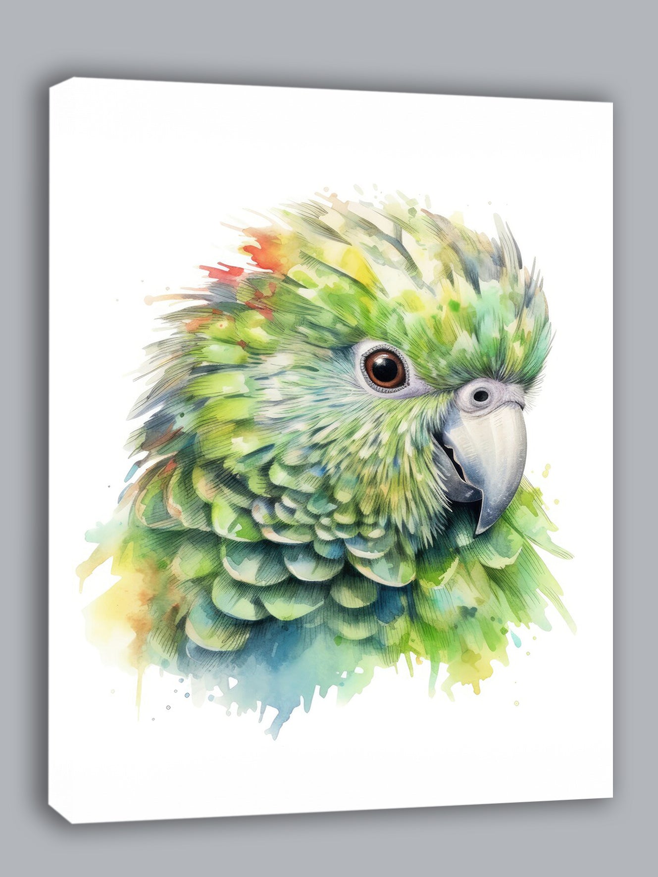 Wandbild Papagei Kakapo 6 Kunstdruck auf Leinwand direkt zum Aufhängen
