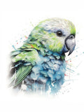 Wandbild Papagei Kakapo 7 Kunstdruck auf Leinwand direkt zum Aufhängen