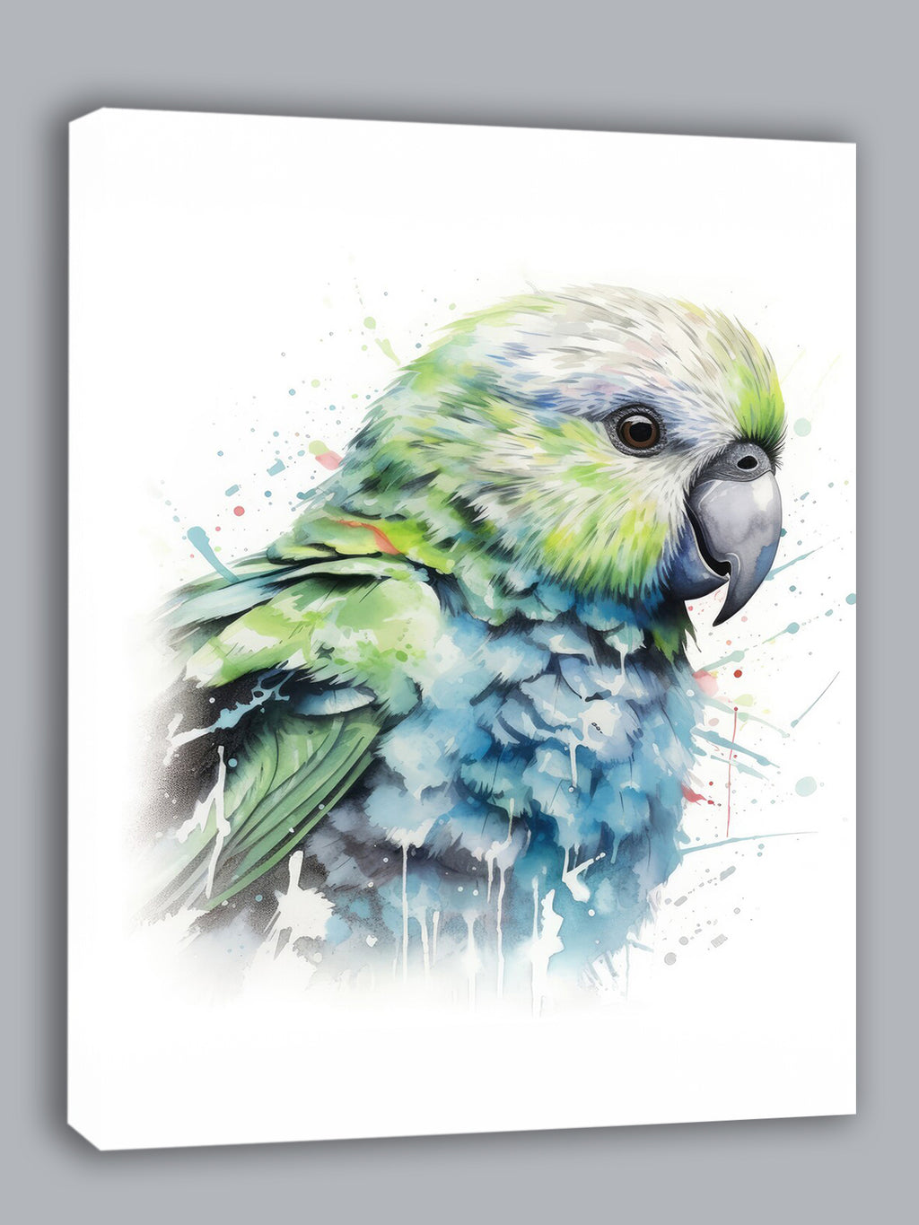 Wandbild Papagei Kakapo 7 Kunstdruck auf Leinwand direkt zum Aufhängen