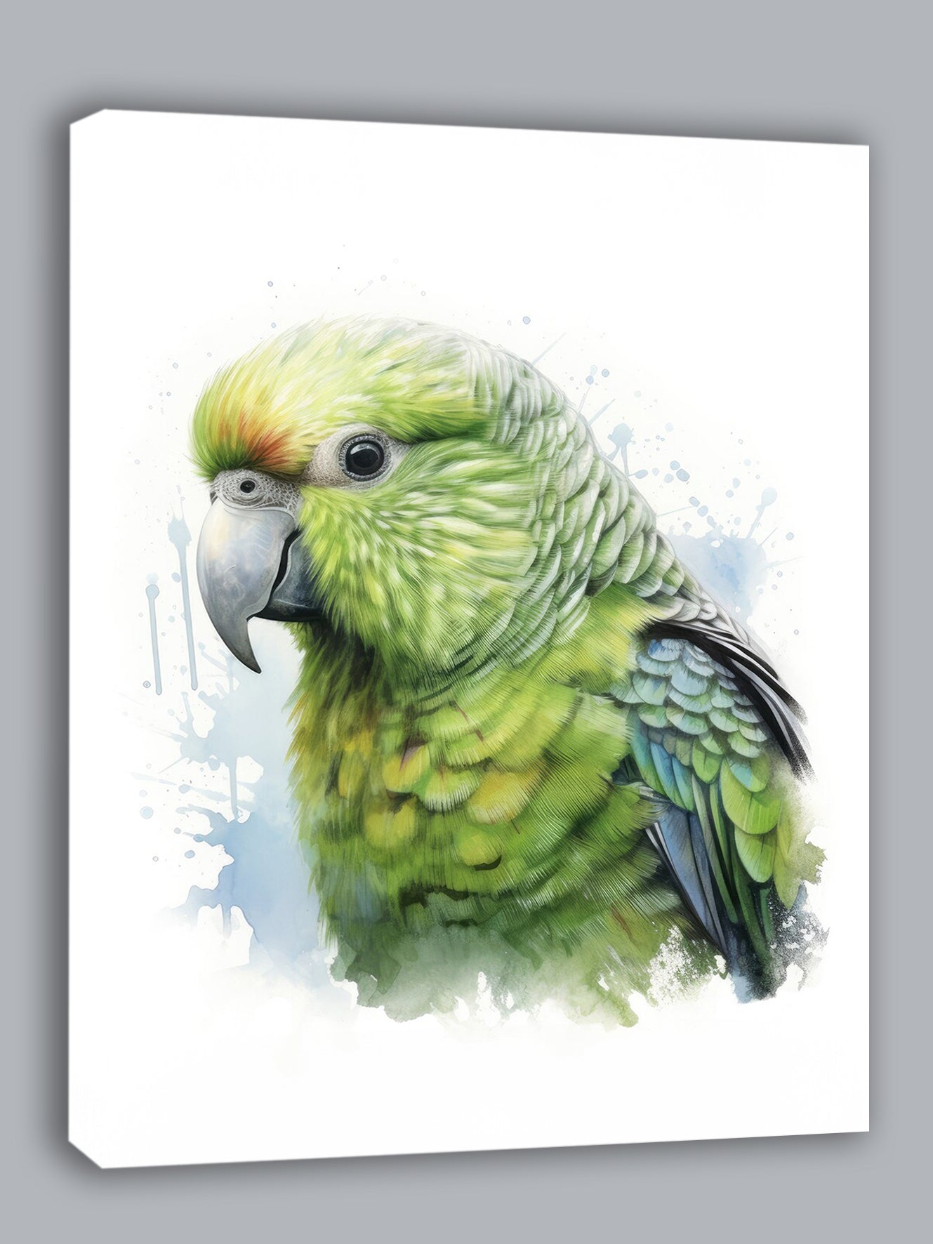 Wandbild Papagei Kakapo 8 Kunstdruck auf Leinwand direkt zum Aufhängen