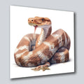 Cobra Schlange 2 Wandbild Kunstdruck auf Leinwand | Wandbild Galerie