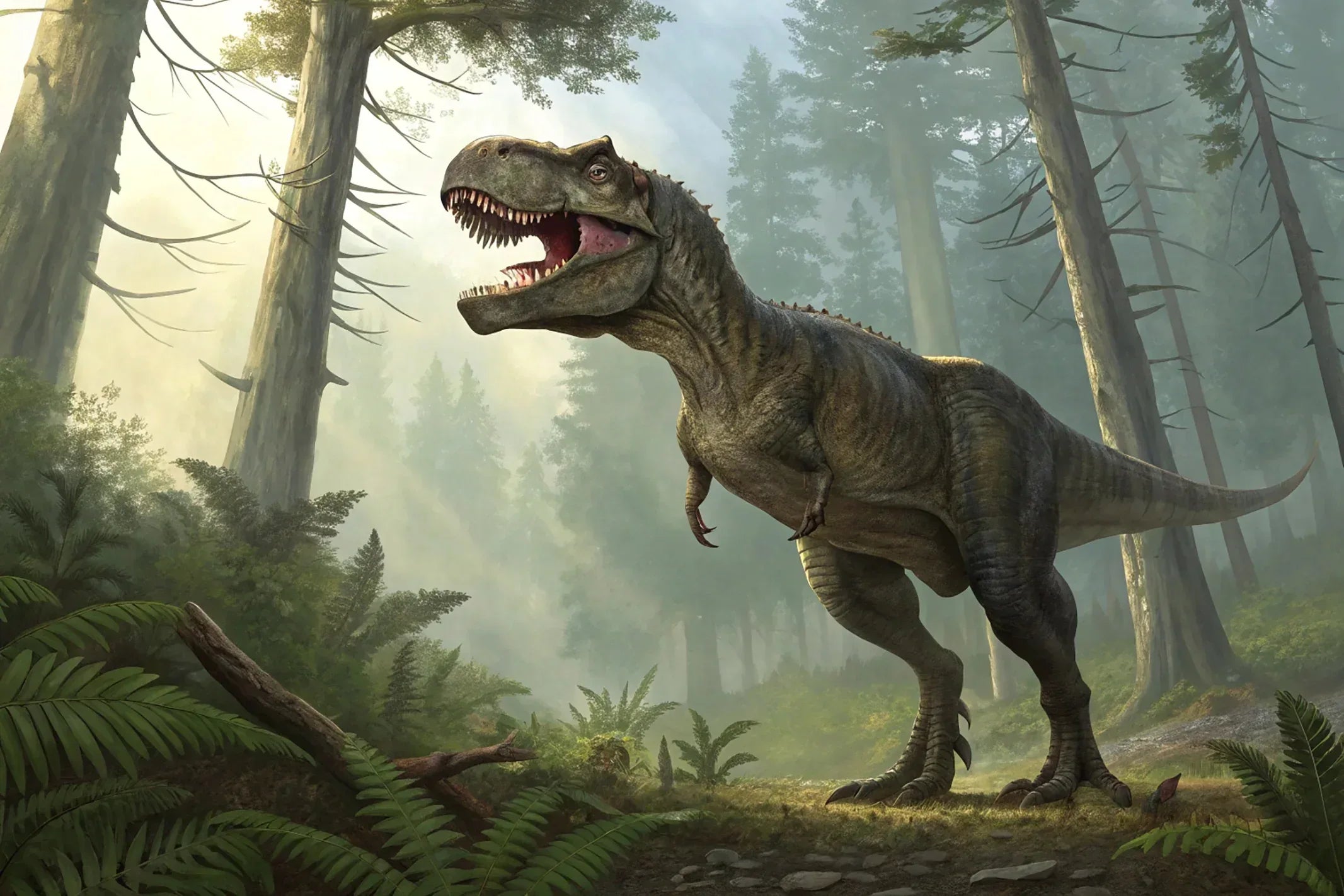 Wandbild T Rex Kunstdruck auf Leinwand direkt zum Aufhängen | Wandbild Galerie